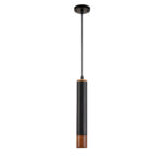 چراغ آویز تک شعله چشمه نور کد SD9186/1