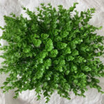 دیوارپوش مدل شمشادی پرتراکم سایز 25×25 سانتی متر