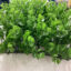 دیوارپوش مدل شمشادی پرتراکم سایز 25×25 سانتی متر