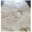 کاغذ دیواری مدل AL21504