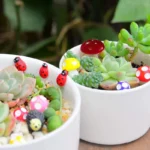 دکوری به گز مدل قارچ مجموعه 5 عددی - تصویر 11