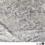 لحاف اِسپی توره مدل دلارام کد ET- 96 دونفره سایز 220x190 سانتی متر - تصویر 8