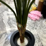 درختچه مصنوعی مدل باباآدم - تصویر 3