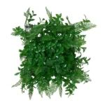 دیوارپوش مدل برگ شمشاد سیکاس ضدآفتاب سایز 25×25 سانتی متر
