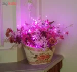 ریسه ال ای دی مفتولی کد M5 به طول 5 متر - تصویر 2