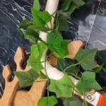گل مصنوعی مدل ریسه برگ انگور دوشاخه طرح لمسی - تصویر 5