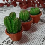 گل مصنوعی مدل کاکتوس میناتوری مجموعه 3 عددی - تصویر 6