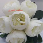 گل مصنوعی طرح پیونی کد pa0085 - تصویر 6