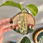 دکوری به گز مدل قارچ مجموعه 5 عددی - تصویر 8