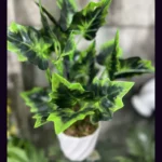 گلدان به همراه گل مصنوعی مدل لوبیا کد 66 - تصویر 5