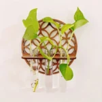گلدان دکوری مدل پتوس سه شیشه کد G1 - تصویر 3