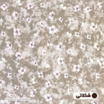 کاور لحاف آدنو مدل بابونه کد CH132 دونفره سایز 220x240 سانتی متر - تصویر 5