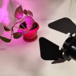 چراغ رشد گیاه 3 وات مدل گیره ای طرح فول اسپکتروم شیددار پایه GU5.3 - تصویر 6