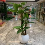 درختچه مصنوعی مدل بابا آدم - تصویر 3