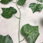 گل مصنوعی طرح ریسه انگور مدل 4040 - تصویر 3