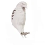 چراغ تزئینی مدل عقاب
