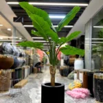 درختچه مصنوعی مدل باباآدم - تصویر 5