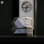 محافظ ولتاژ هوشمند ایفورج مدل ST-01 - تصویر 6