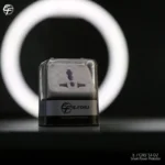 محافظ ولتاژ هوشمند ایفورج مدل ST-01 - تصویر 7